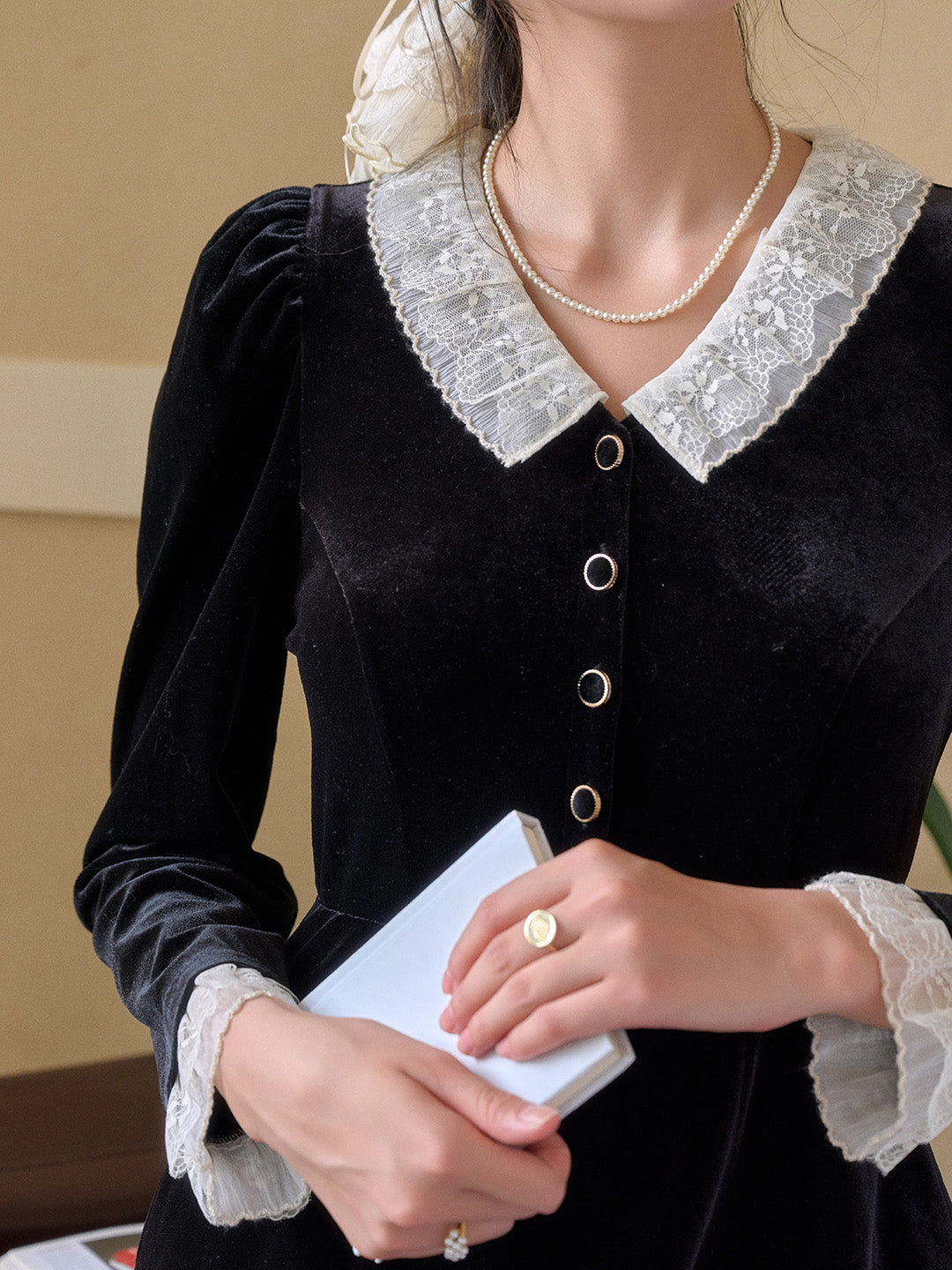 Emely V-Neck Velvet Lace Dress