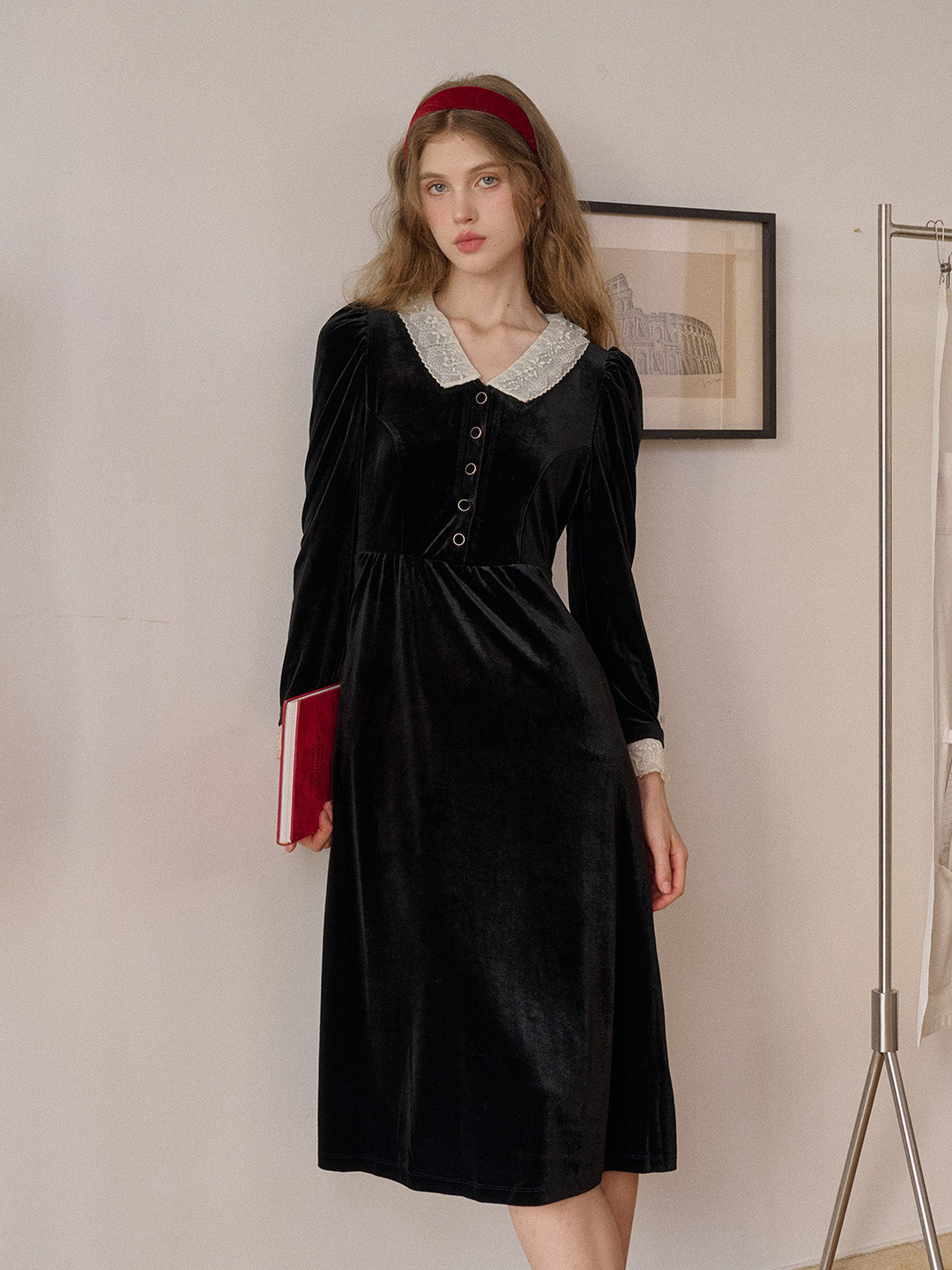 Emely V-Neck Velvet Lace Dress