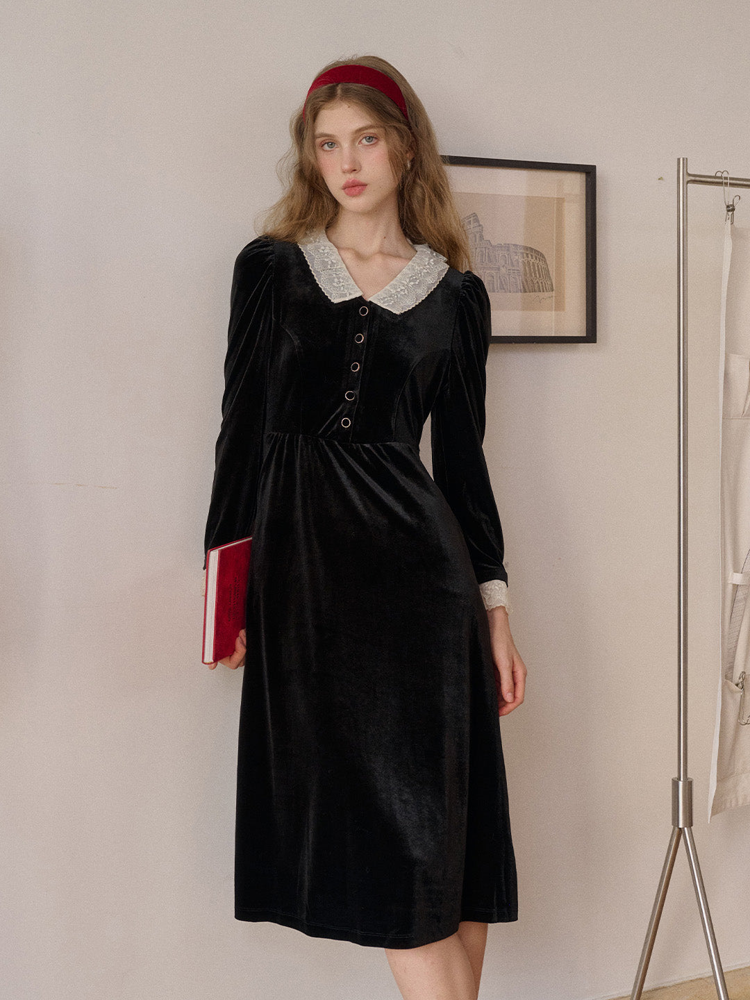 Emely V-Neck Velvet Lace Dress