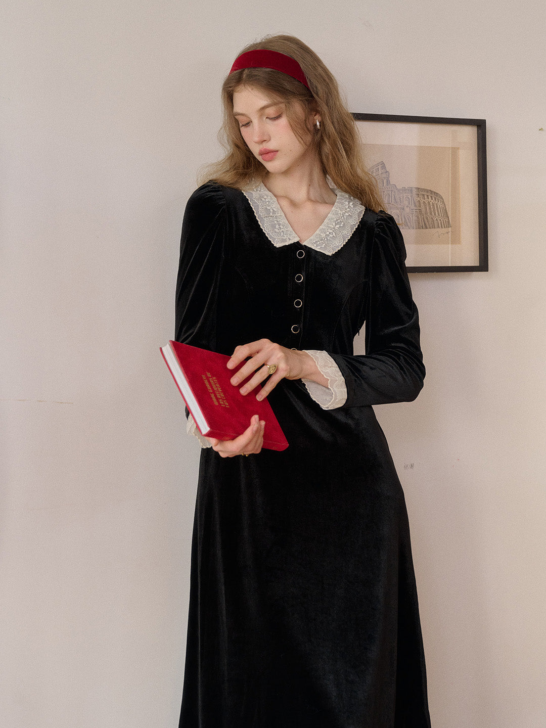 Emely V-Neck Velvet Lace Dress