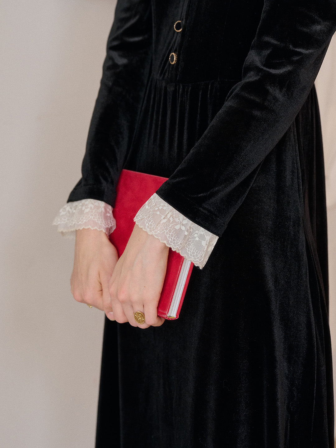 Emely V-Neck Velvet Lace Dress